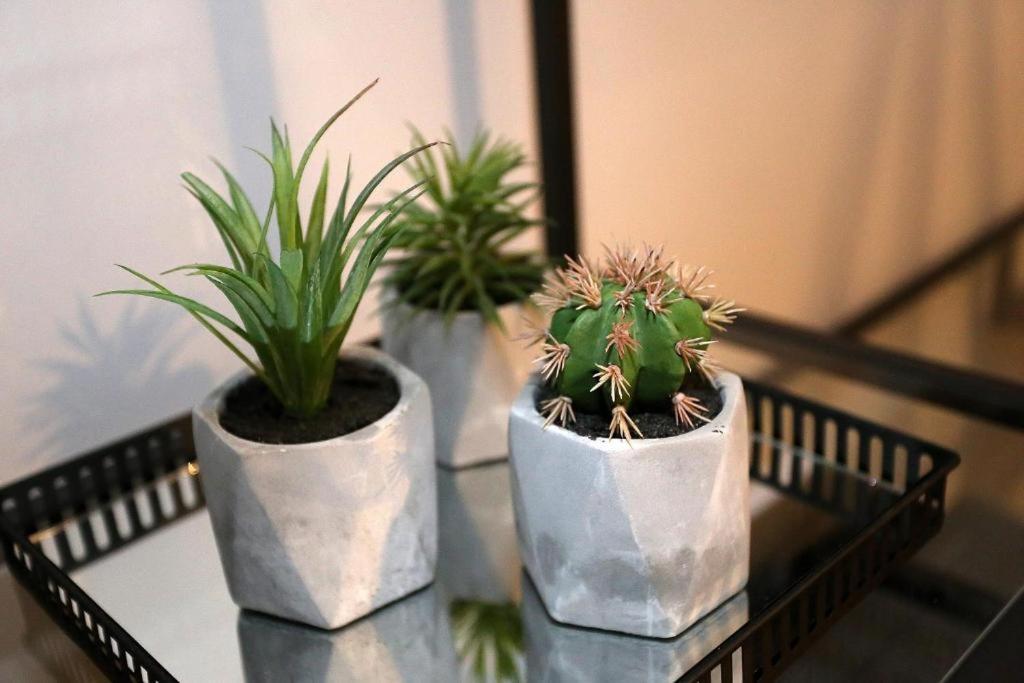 זאדאר Prestige Design Rooms מראה חיצוני תמונה